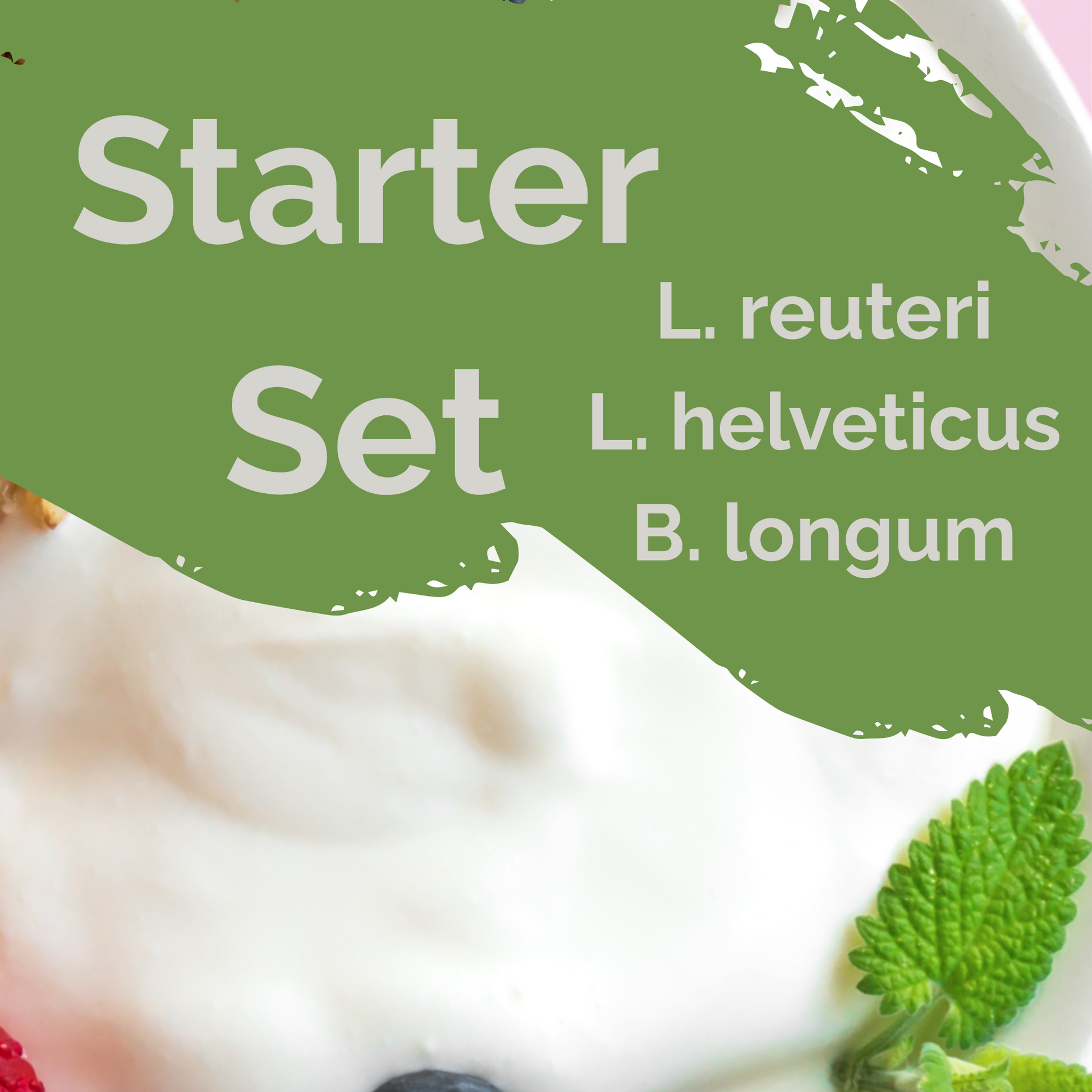 Starter-Set "Calm Gut" | L. reuteri, L. helveticus, B. longum-Joghurt