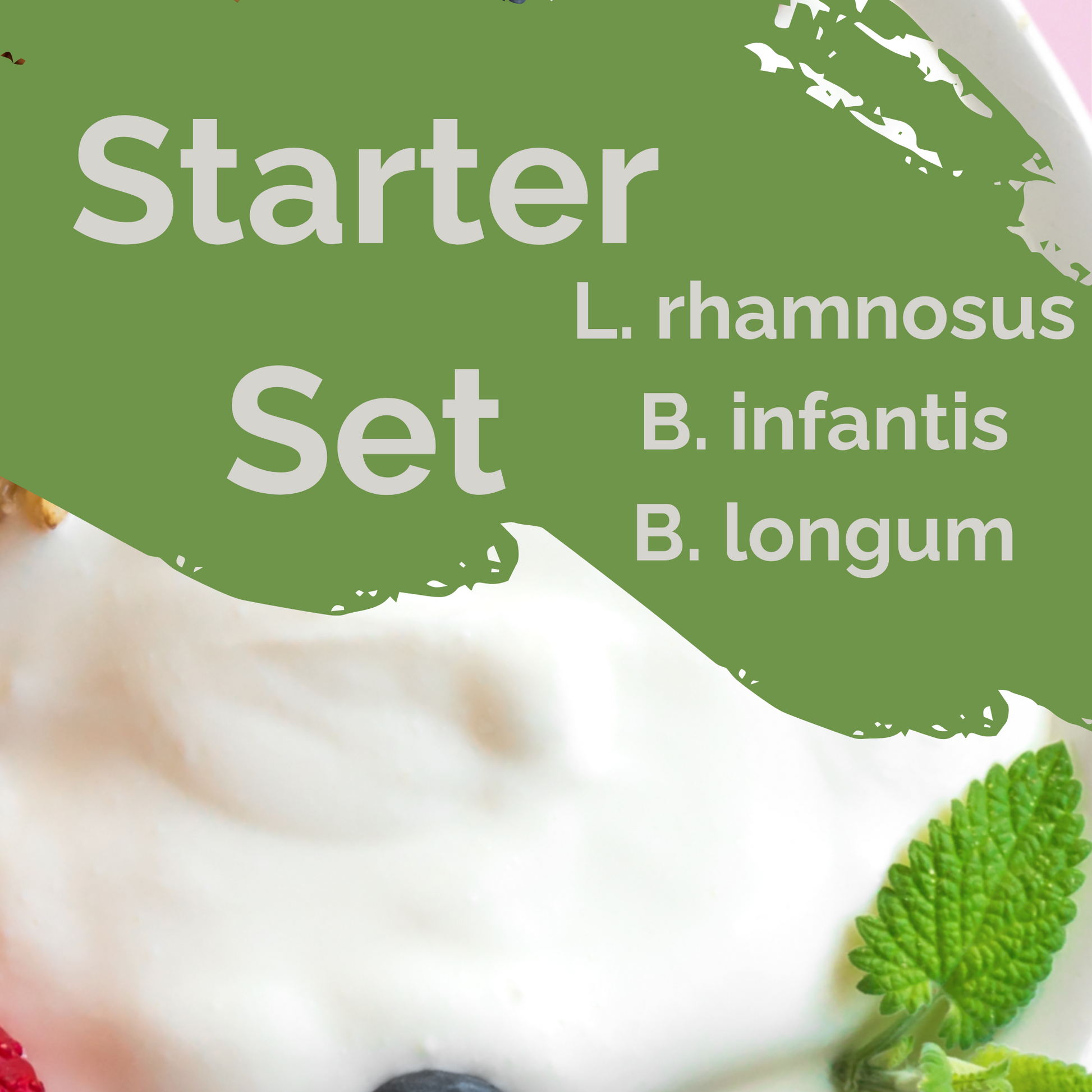 Starter-Set „Allergo Gut" | L. rhamnosus, B. infantis, B. longum-Joghurt