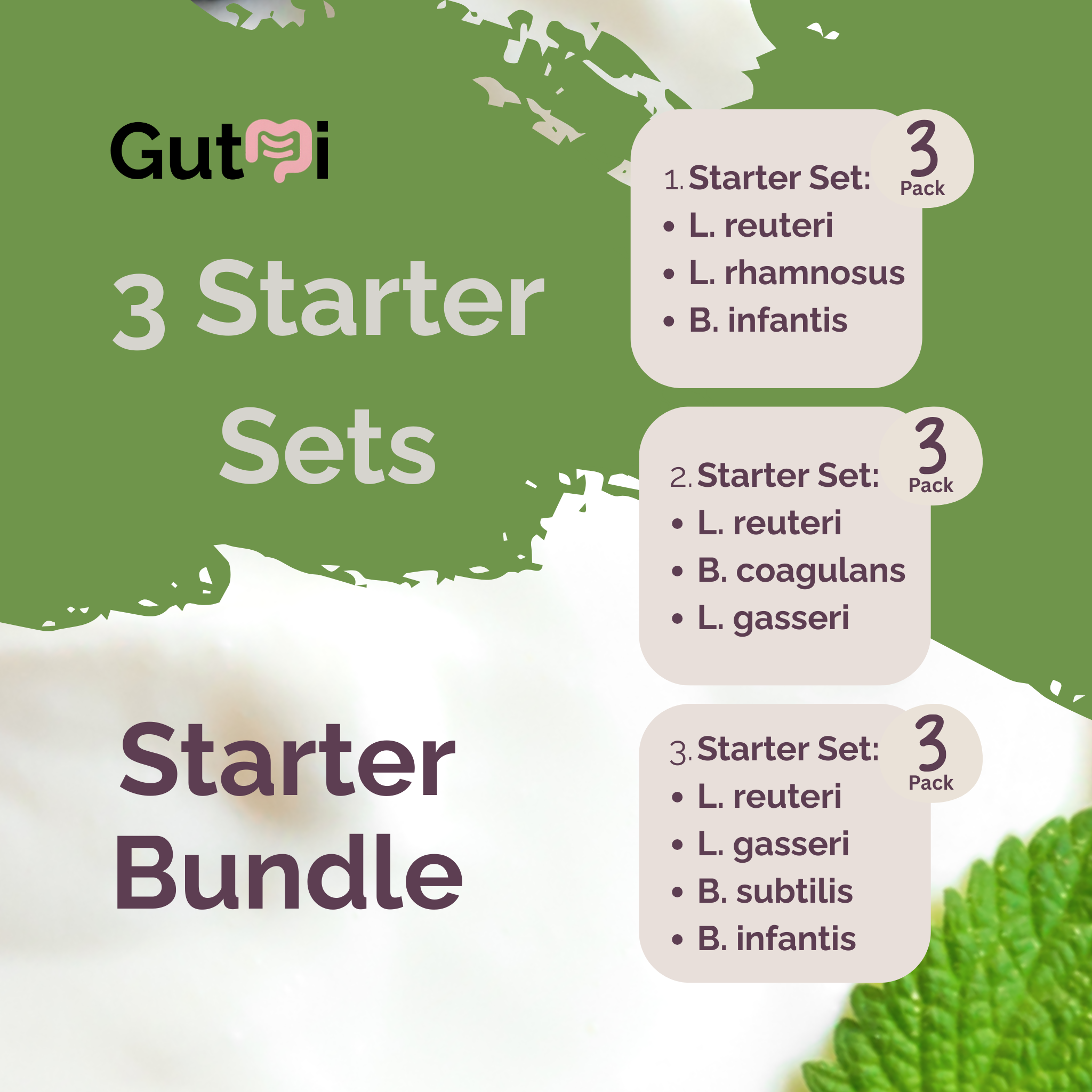L. reuteri + L. rhamnosus + B. infantis + B. coagulans + L. gasseri + B. subtilis | Starter Bundle | Joghurt Starter Paket | 3 Sets