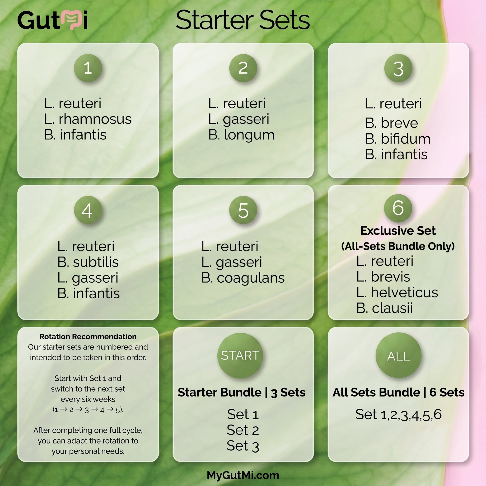 L. reuteri + B. coagulans + L. gasseri | SIBO | Joghurt-Starter-Set | Starterkulturen | 3 Joghurtstarter